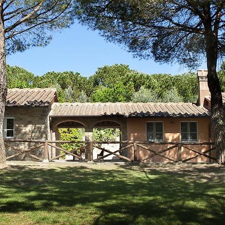 Podere Poggio Mendico Arezzo Eksteriør billede