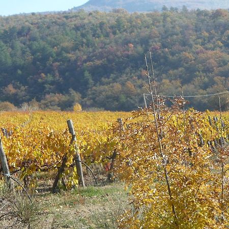 Podere Poggio Mendico Arezzo Eksteriør billede