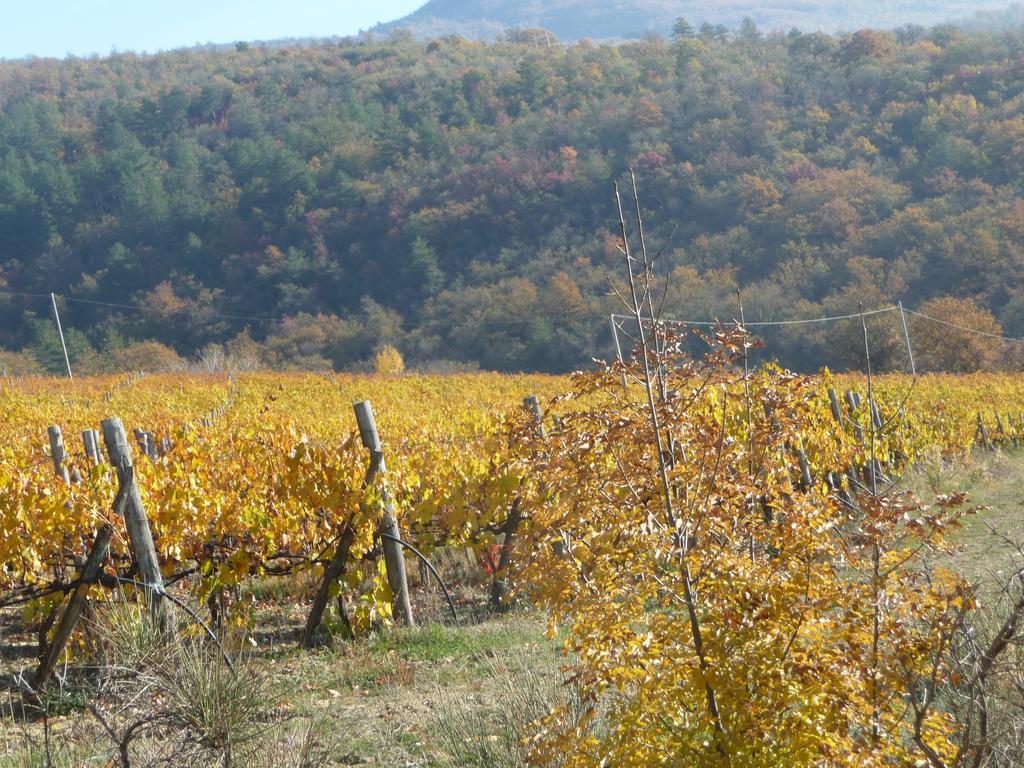 Podere Poggio Mendico Arezzo Eksteriør billede